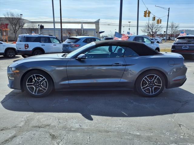 Thumbnail image of 2022 Ford Mustang at Star Lincoln, Inc.