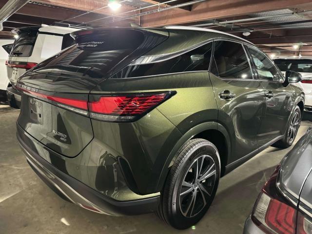 Thumbnail image of 2024 Lexus RX 350 at Lexus of Freeport