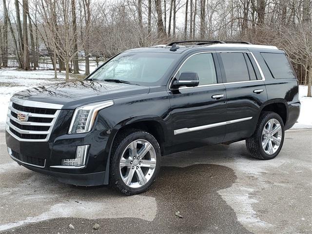 Thumbnail image of 2019 Cadillac Escalade at Grand Blanc Nissan