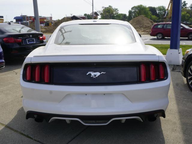 Thumbnail image of 2017 Ford Mustang at A & B Motors