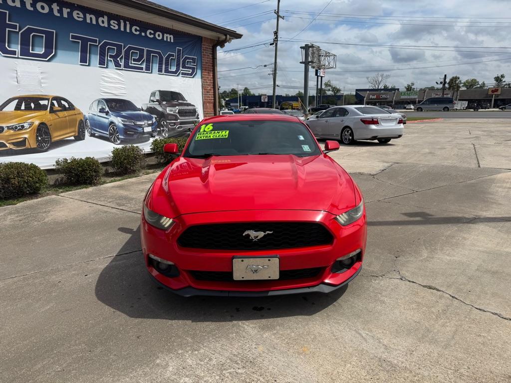 Thumbnail image of 2016 Ford Mustang at AUTO TRENDS LLC