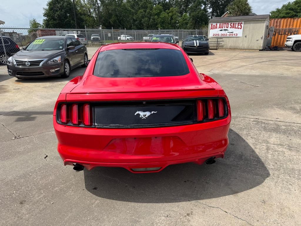 Thumbnail image of 2016 Ford Mustang at AUTO TRENDS LLC