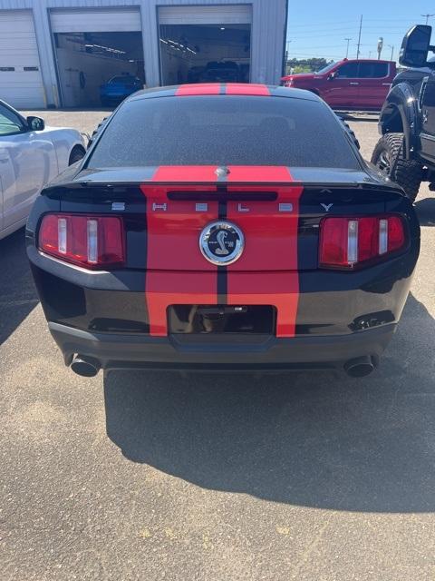 Thumbnail image of 2010 Ford Shelby GT500 at Capital Ford Lincoln