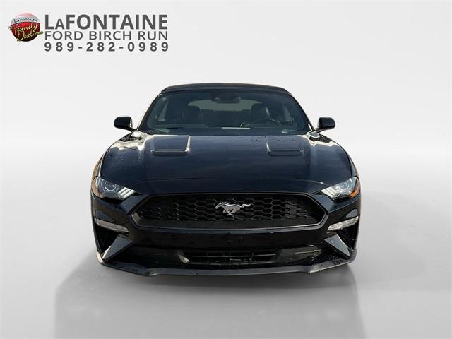 Thumbnail image of 2023 Ford Mustang at LaFontaine Ford Birch Run