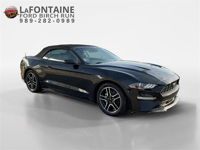 Thumbnail image of 2023 Ford Mustang at LaFontaine Ford Birch Run