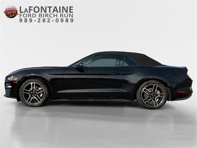 Thumbnail image of 2023 Ford Mustang at LaFontaine Ford Birch Run