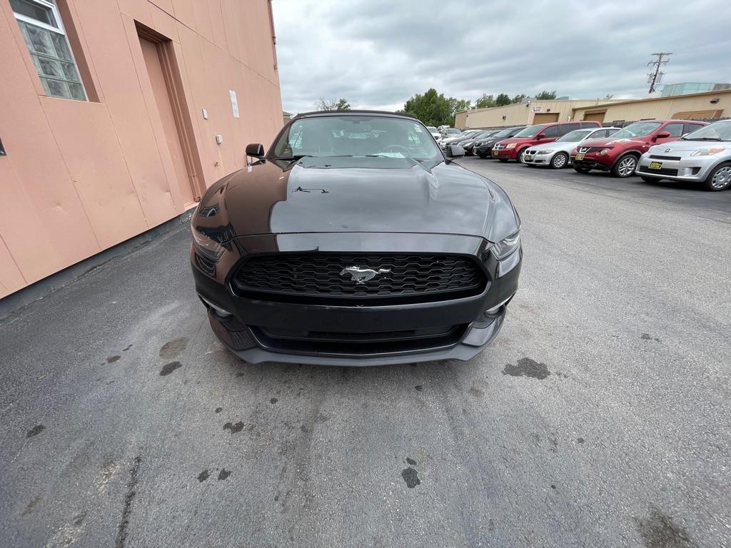 Thumbnail image of 2017 Ford Mustang at ENZO AUTO LLC