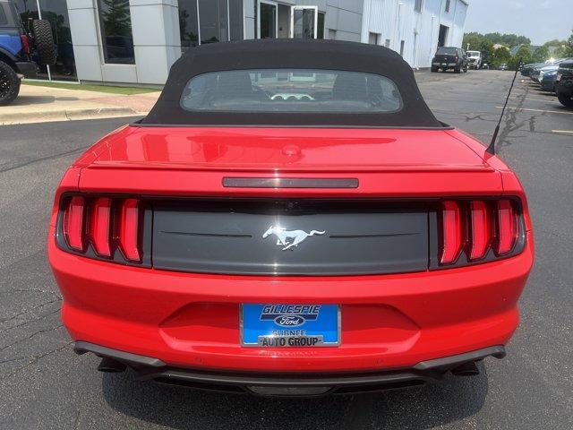 Thumbnail image of 2022 Ford Mustang at GillespieFord - New