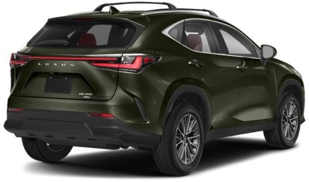 Thumbnail image of 2025 Lexus NX 350 at Lexus of Freeport