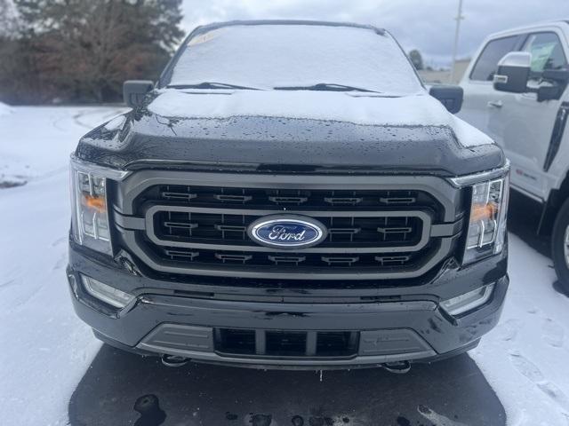 Thumbnail image of 2023 Ford F-150 at Fernelius Ford