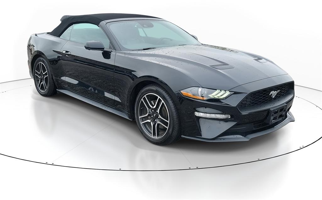 Thumbnail image of 2022 Ford Mustang at McDonald Kia