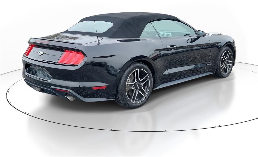 Thumbnail image of 2022 Ford Mustang at McDonald Kia