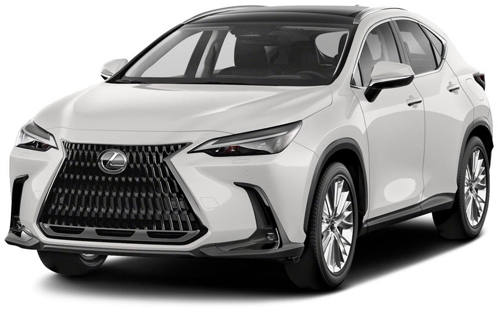 Thumbnail image of 2022 Lexus NX 350 at Lynnes Nissan City Inc
