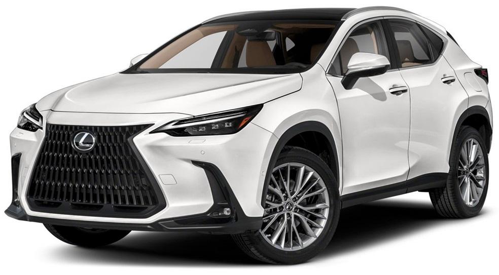 Thumbnail image of 2022 Lexus NX 350 at Lynnes Nissan City Inc