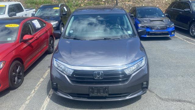 Thumbnail image of 2022 Honda Odyssey at New - Salerno Duane Of Summit Ford