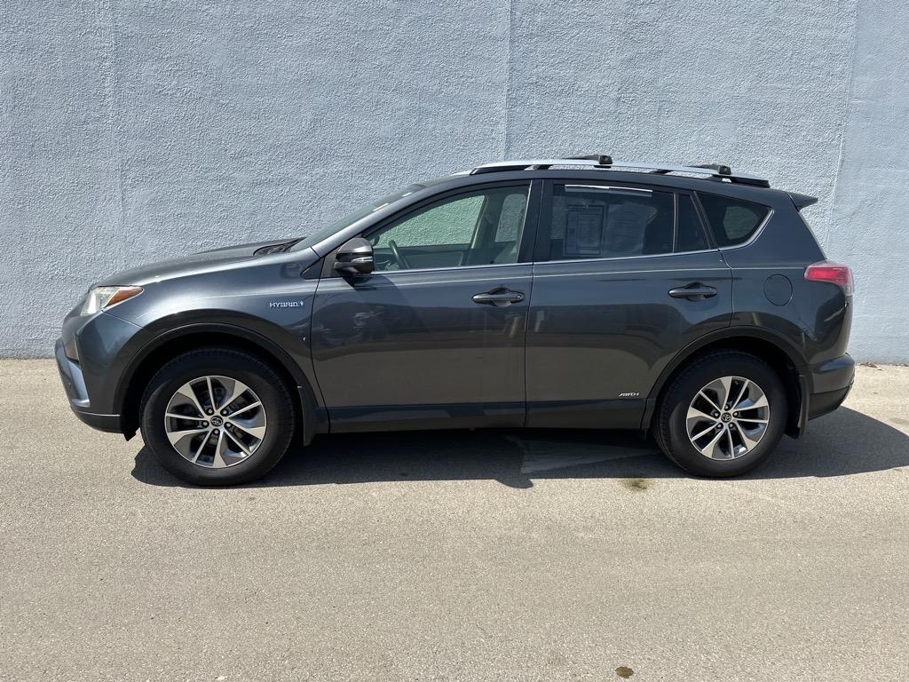 Thumbnail image of 2016 Toyota RAV4 Hybrid at Andy Mohr Nissan