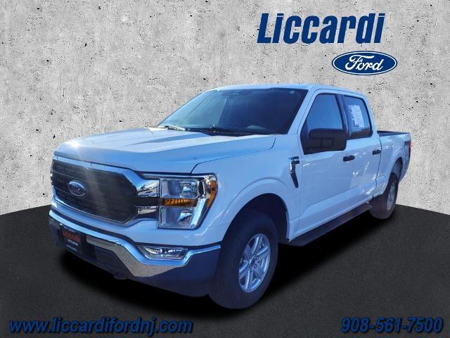 Thumbnail image of 2022 Ford F-150 at Liccardi Ford Inc