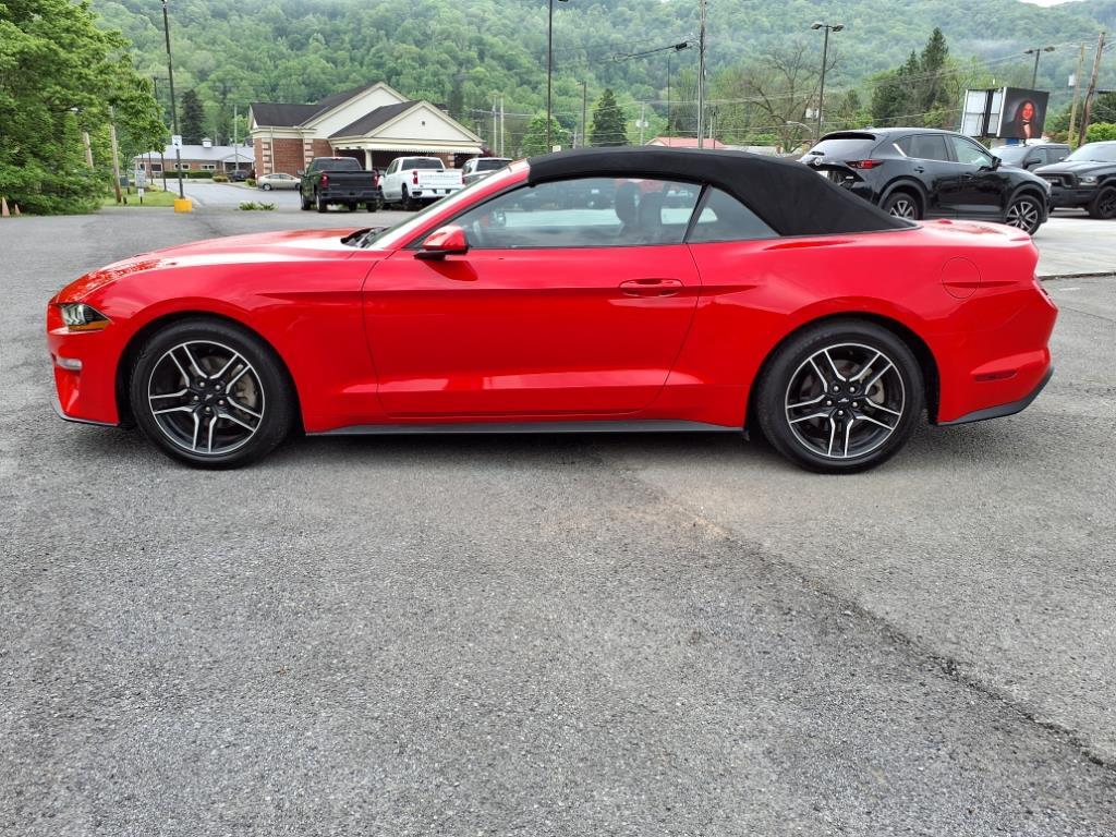 Thumbnail image of 2023 Ford Mustang at Freedom Chevrolet