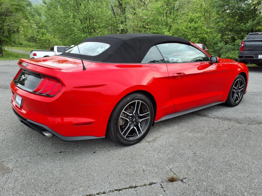 Thumbnail image of 2023 Ford Mustang at Freedom Chevrolet