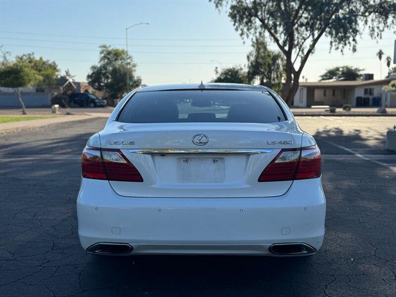 Thumbnail image of 2010 Lexus LS 460 at Red Mountain Motors