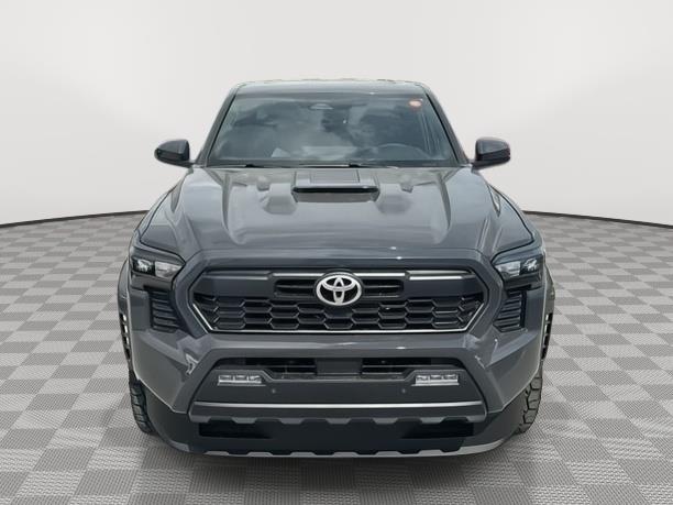Thumbnail image of 2025 Toyota Tacoma at South Dade Toyota