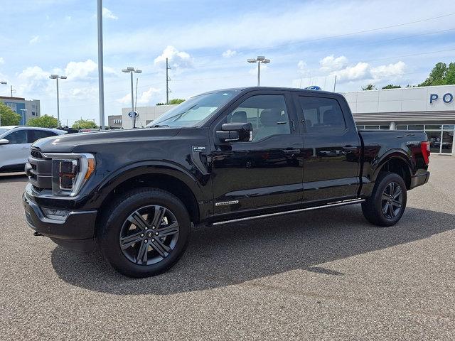 Thumbnail image of 2023 Ford F-150 at PorterFordMitsubishiVinsolutions NEW