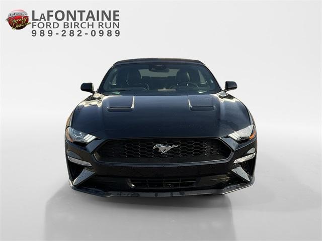Thumbnail image of 2023 Ford Mustang at LaFontaine Ford Birch Run