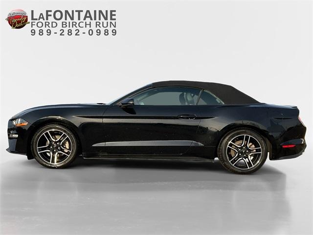 Thumbnail image of 2023 Ford Mustang at LaFontaine Ford Birch Run