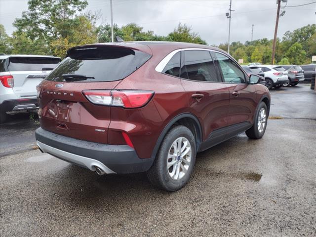 Thumbnail image of 2021 Ford Escape Hybrid at Ranker Motor Sales