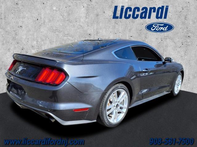 Thumbnail image of 2016 Ford Mustang at Liccardi Ford Inc