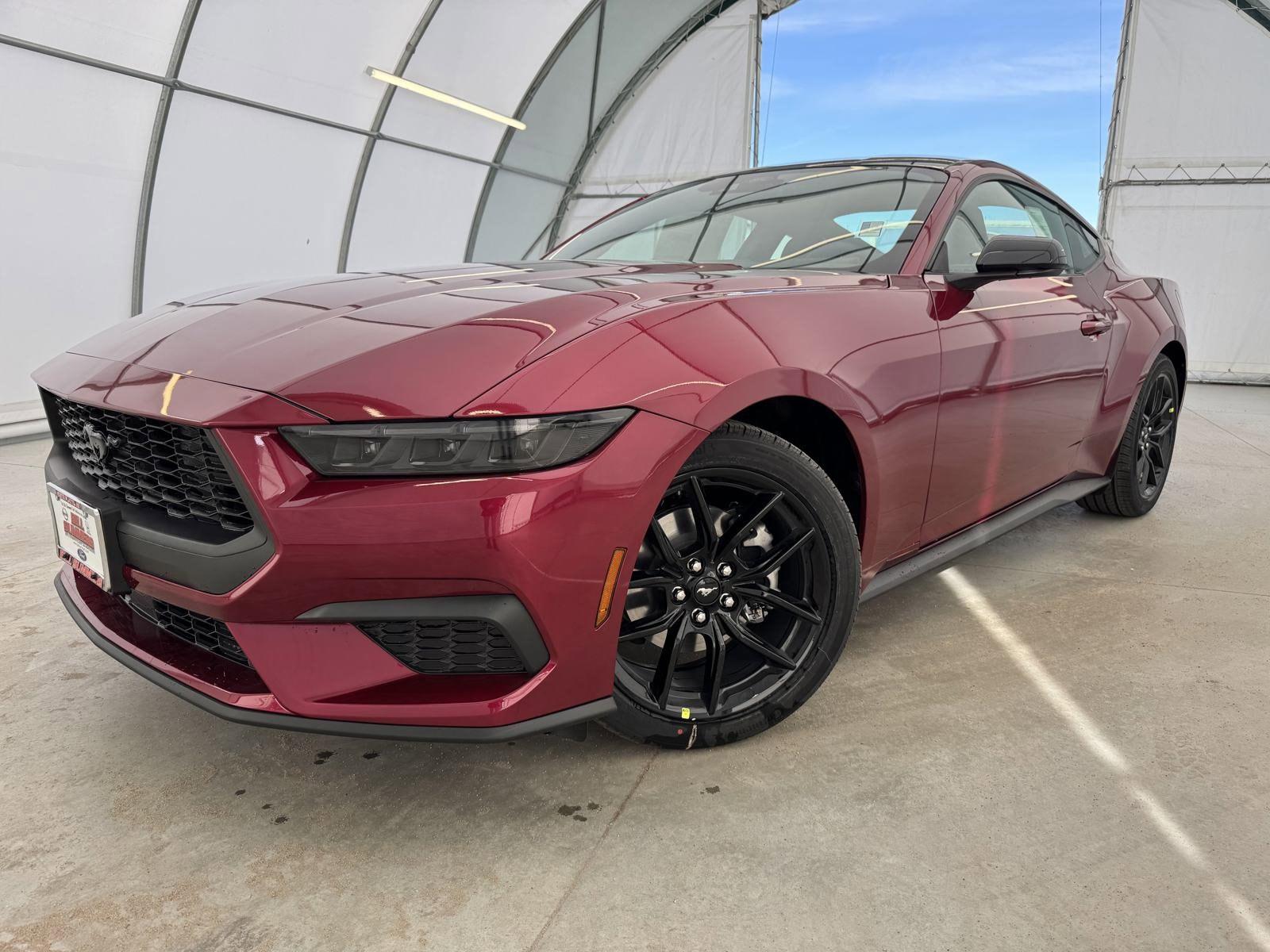 Thumbnail image of 2025 Ford Mustang at Bill Summers Ford Lincoln Honda Nissan