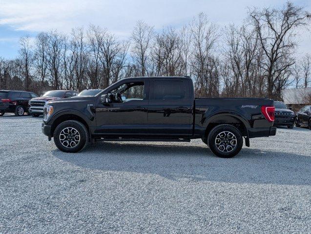 Thumbnail image of 2023 Ford F-150 at LenStolerDodgeChryslerJeep-USED of Westminster, MD
