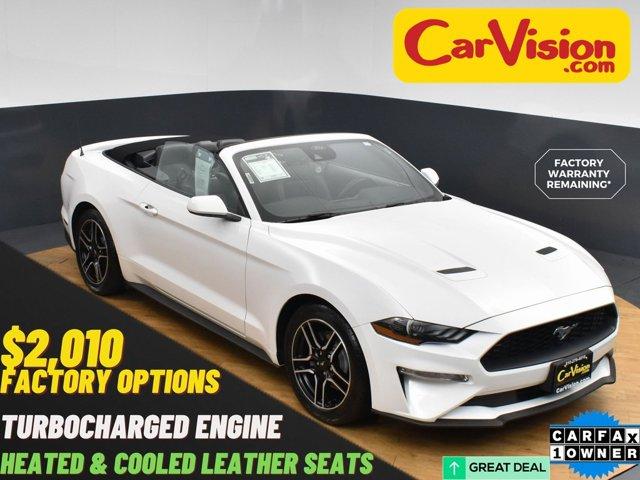 Thumbnail image of 2022 Ford Mustang at Car Vision Inc.