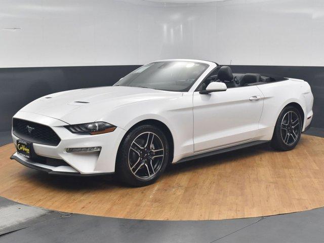 Thumbnail image of 2022 Ford Mustang at Car Vision Inc.
