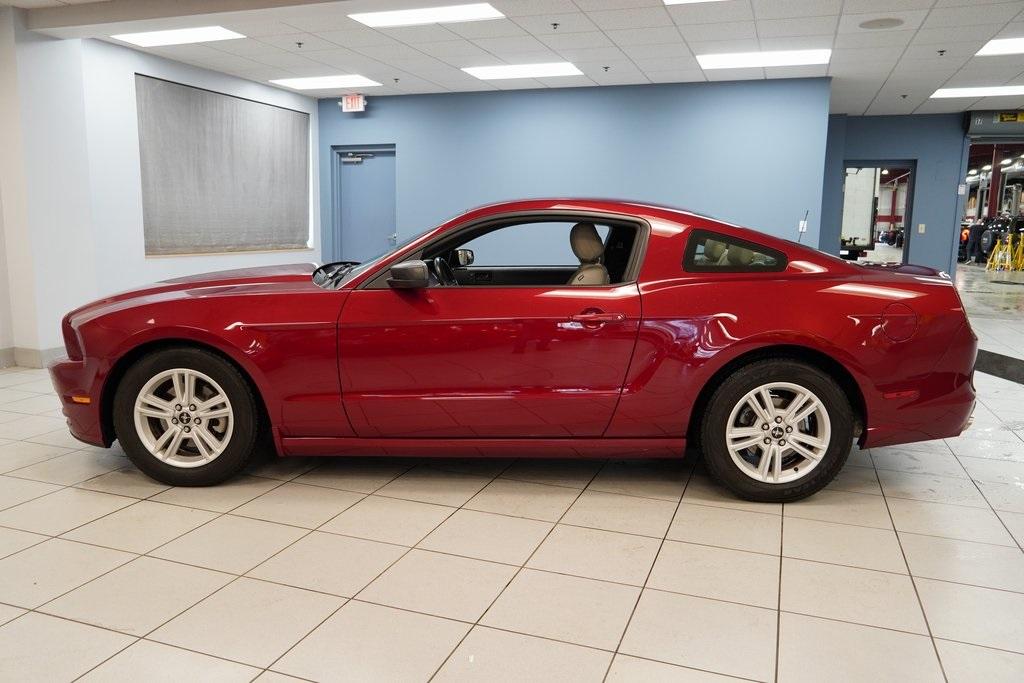 Thumbnail image of 2014 Ford Mustang at Serpentini Chevrolet of Strongsville