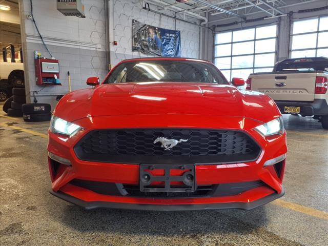 Thumbnail image of 2023 Ford Mustang at Lilliston Ford
