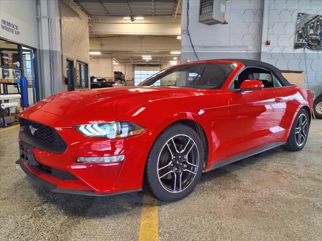 Thumbnail image of 2023 Ford Mustang at Lilliston Ford