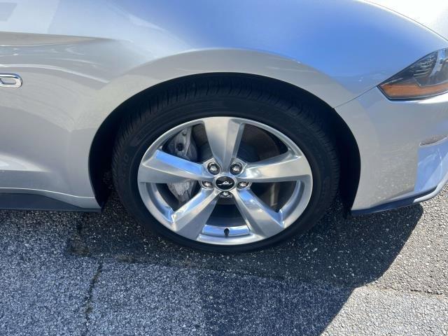 Thumbnail image of 2019 Ford Mustang at Baron Nissan