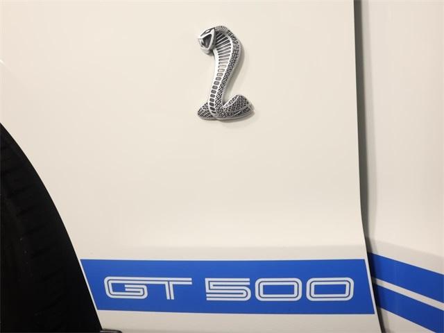 Thumbnail image of 2010 Ford Shelby GT500 at Auto Expo 95