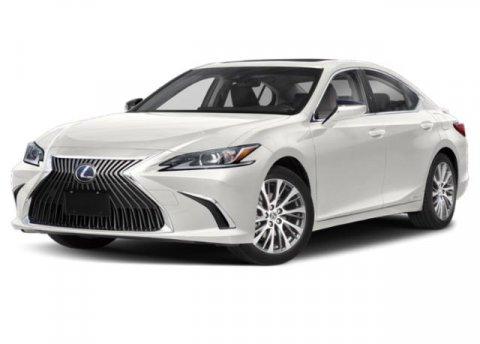 Thumbnail image of 2019 Lexus ES 300h at Apple Honda