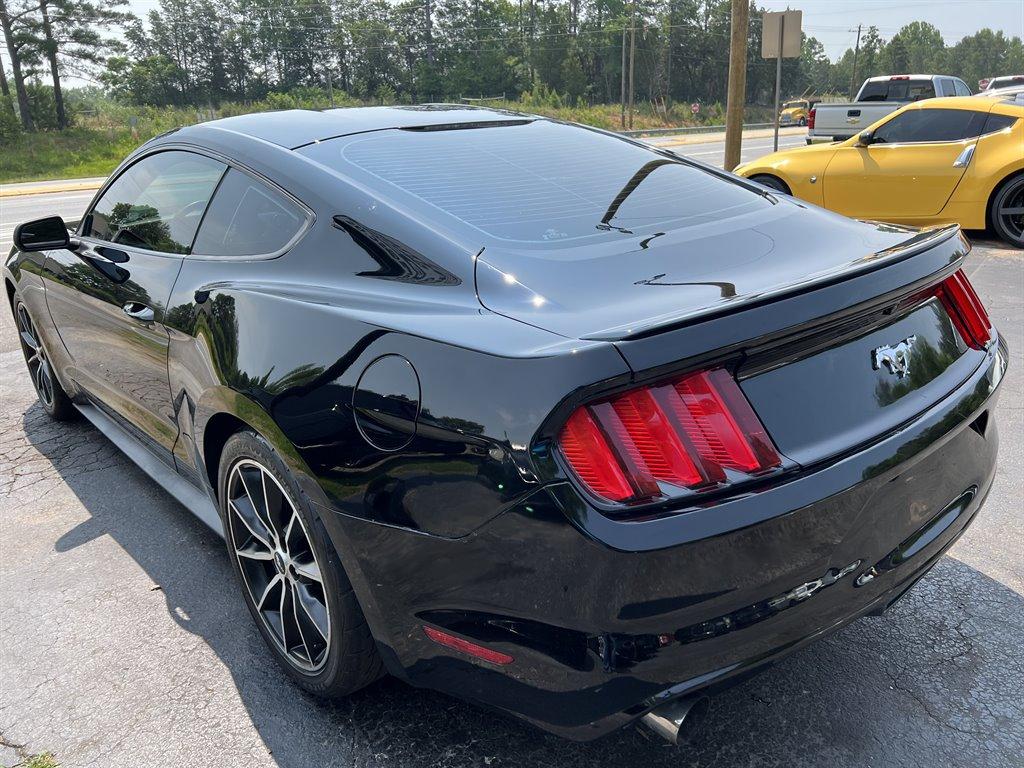 Thumbnail image of 2016 Ford Mustang at Momentum Motor Group