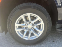 Thumbnail image of 2023 Chevrolet Tahoe at Empire Chevrolet of Hicksville