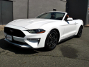 Thumbnail image of 2020 Ford Mustang at DK Auto Imports, Roselle