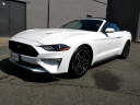 Thumbnail image of 2020 Ford Mustang at DK Auto Imports, Roselle