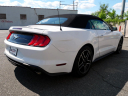 Thumbnail image of 2020 Ford Mustang at DK Auto Imports, Roselle