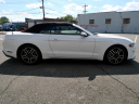 Thumbnail image of 2020 Ford Mustang at DK Auto Imports, Roselle