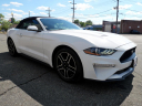 Thumbnail image of 2020 Ford Mustang at DK Auto Imports, Roselle