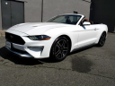 2020 Ford Mustang EcoBoost at DK Auto Imports, Roselle
