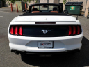 Thumbnail image of 2020 Ford Mustang at DK Auto Imports, Roselle