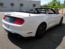 Thumbnail image of 2020 Ford Mustang at DK Auto Imports, Roselle